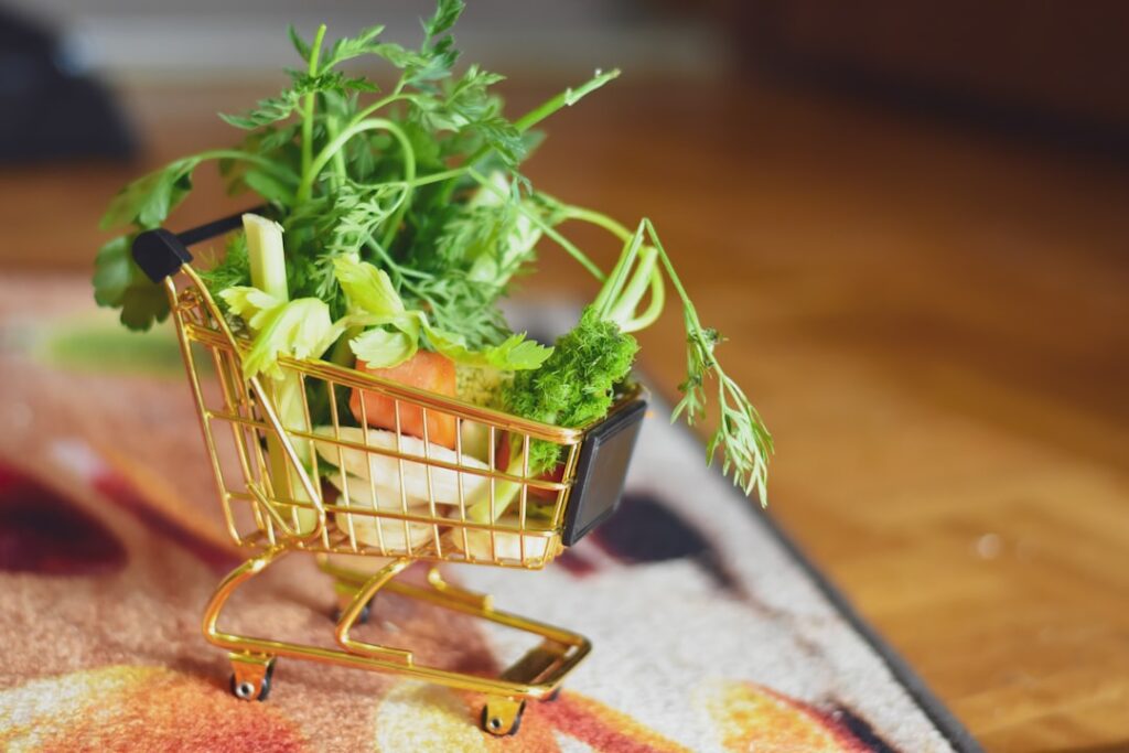 grocery shopping budget illustrating reducing grocery